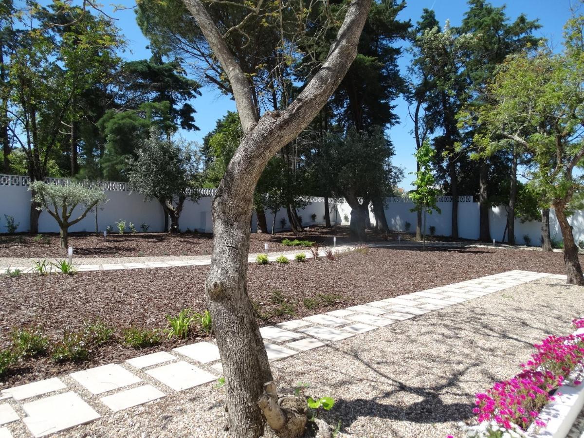 Aires Da Serra Hotel Торес Новас Екстериор снимка